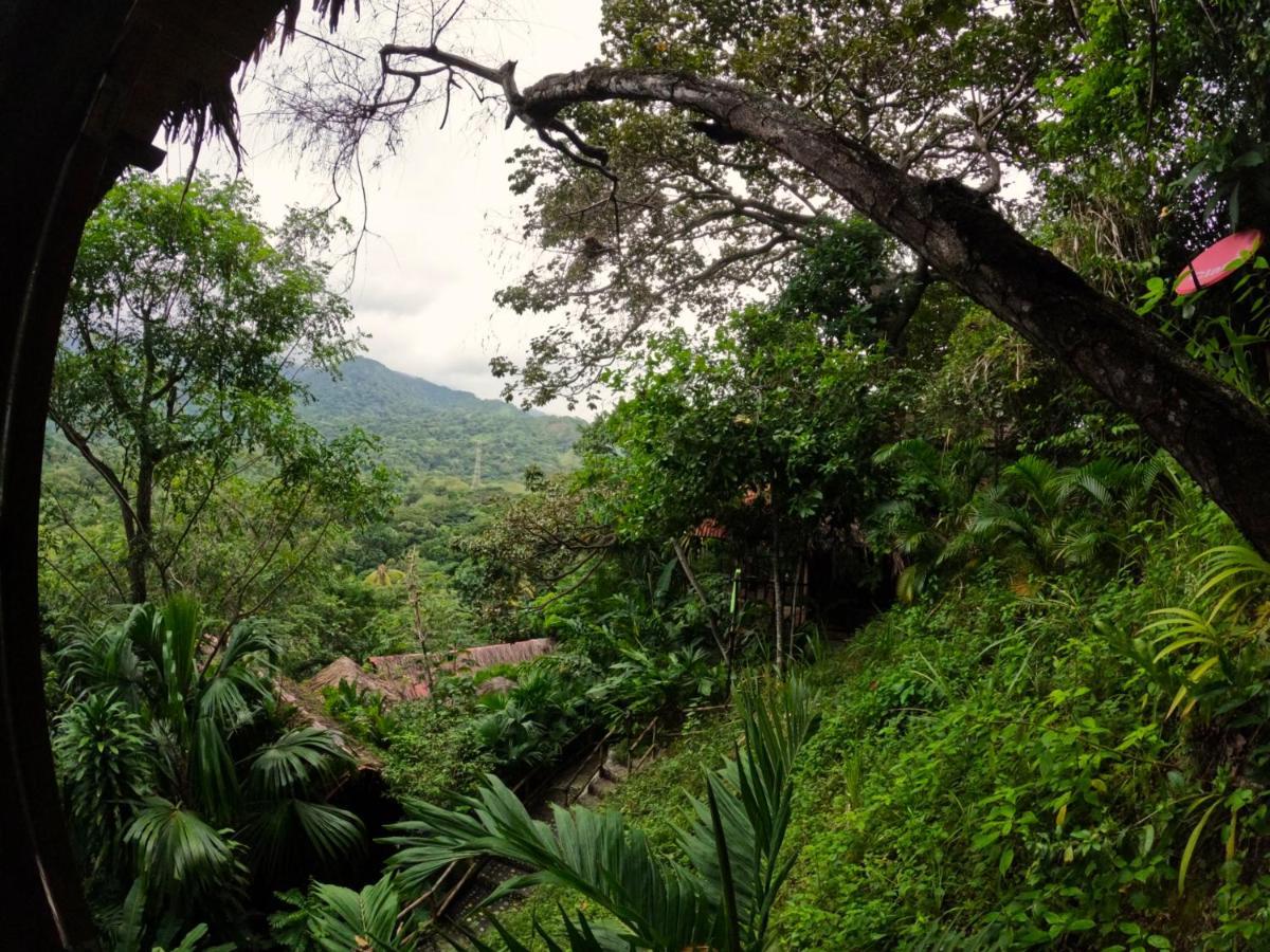 Ecohostal Rio Piedra 엘 자이노 외부 사진