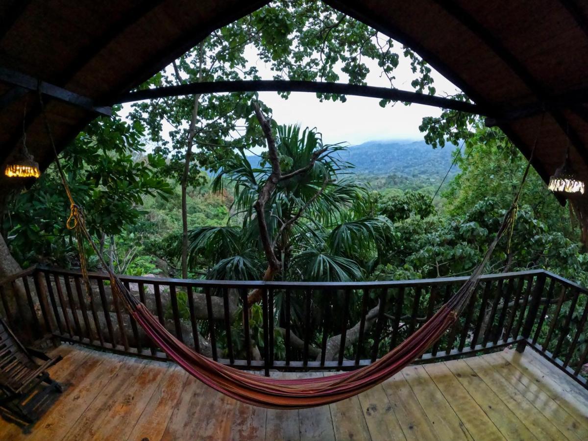 Ecohostal Rio Piedra 엘 자이노 외부 사진