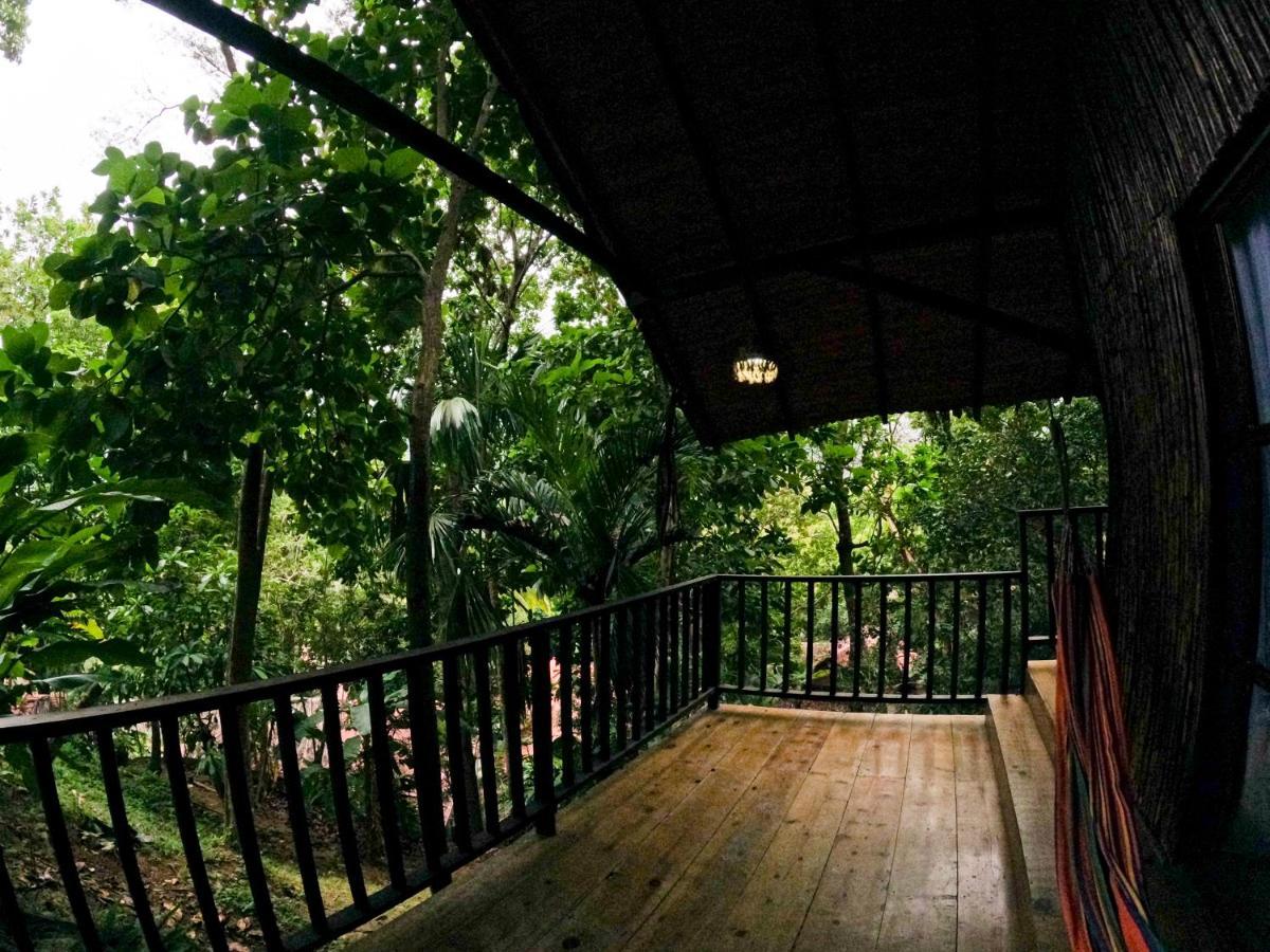 Ecohostal Rio Piedra 엘 자이노 외부 사진