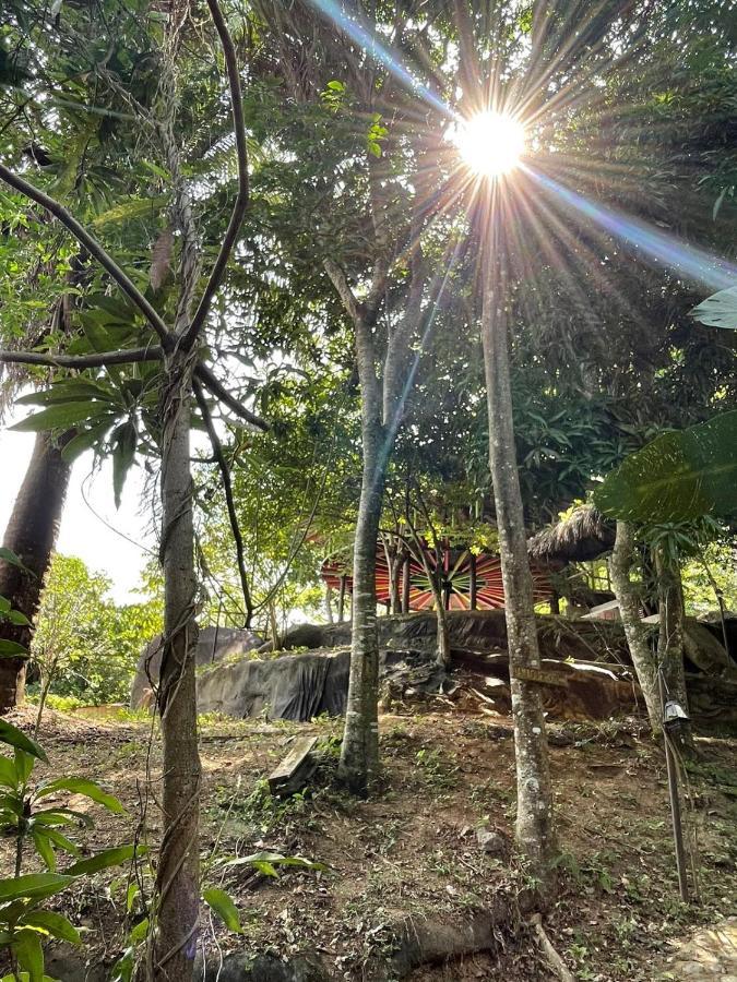 Ecohostal Rio Piedra 엘 자이노 외부 사진
